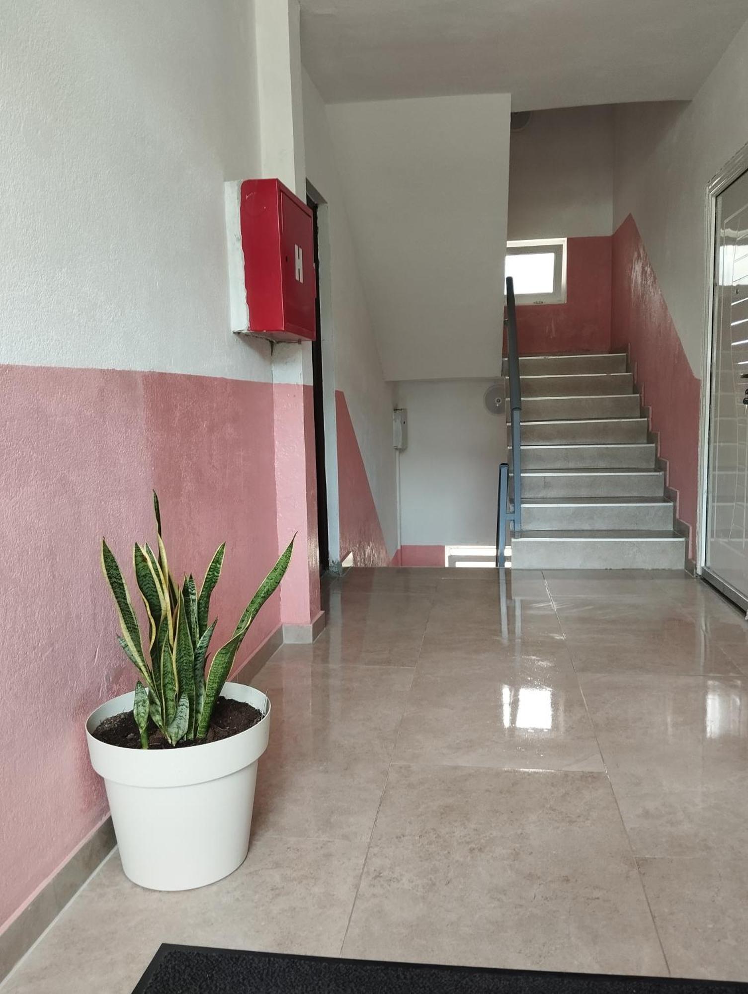 Apartment La Casa Plužine Δωμάτιο φωτογραφία